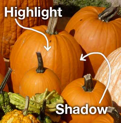 Pumpkins showing highlights and shadows